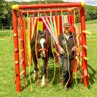 CAV Pferde-Agility Nudelwald Cube