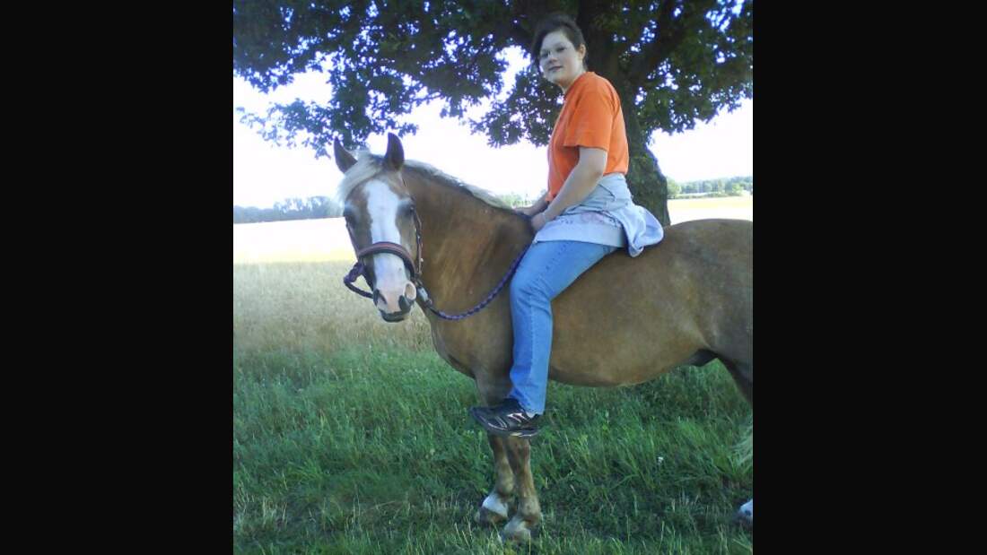 CAV Pferde Senioren Bandit Welsh 24 MS