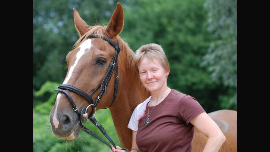 CAV Pferde Senioren Wallach Domingo 18 Jahre MS