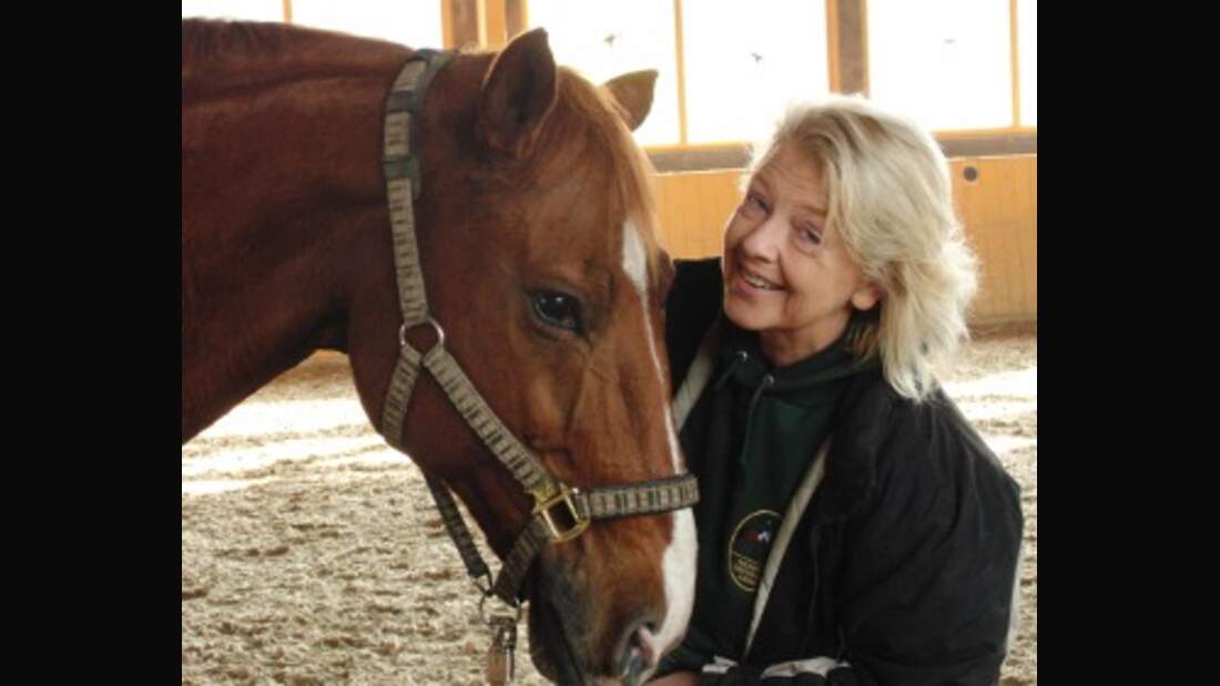 CAV Pferde Senioren im Doppelpack MS