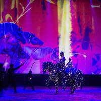 CAV Pferde-Show André Heller Magnifico 01
