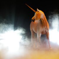 CAV Pferde-Show André Heller Magnifico 02