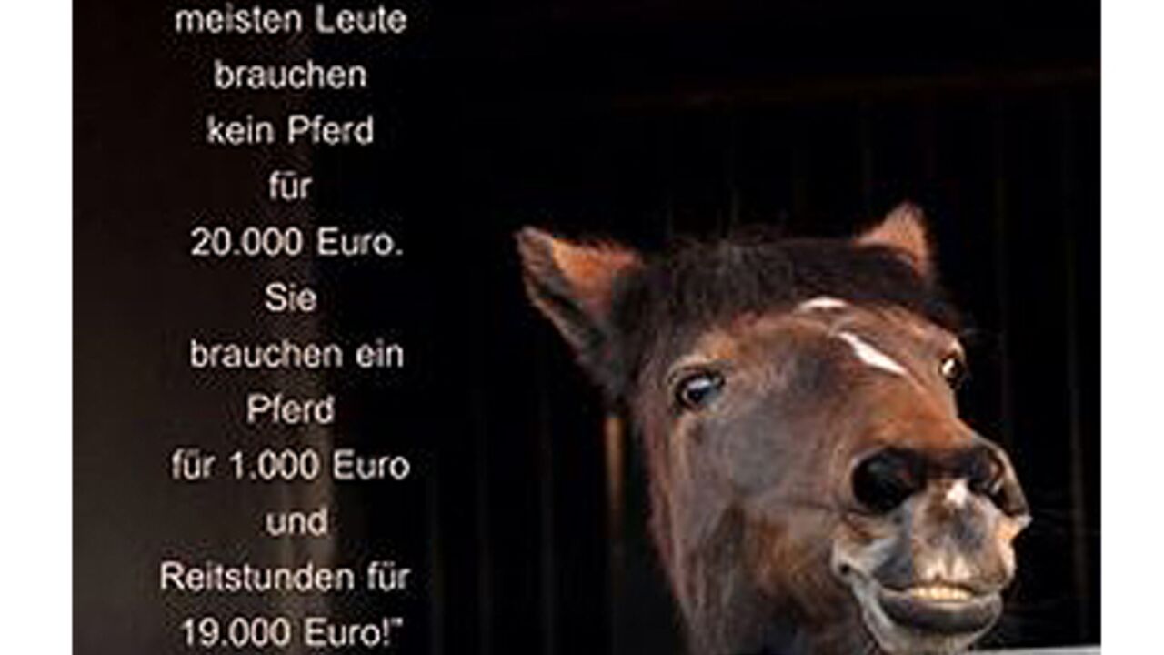 Cavallo Leserfotos Die Schonsten Leser Zitate Uber Pferde Cavallo De