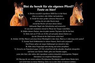 Cavallo Leserfotos Die Schonsten Leser Zitate Uber Pferde Cavallo De