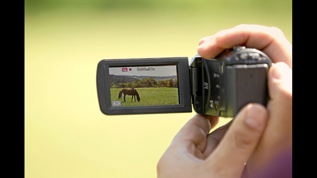 CAV Pferde filmen Video Kamera Camcorder