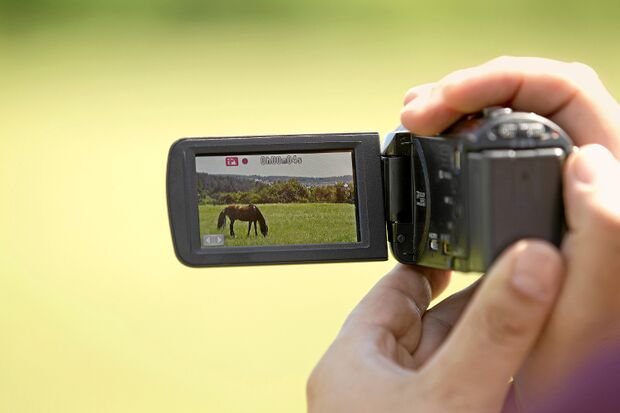 CAV Pferde filmen Video Kamera Camcorder