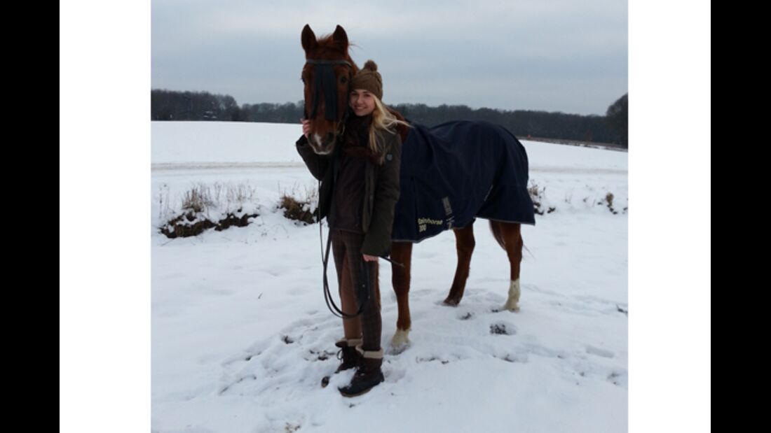 CAV Pferde im Schnee - Catan und Scarlett
