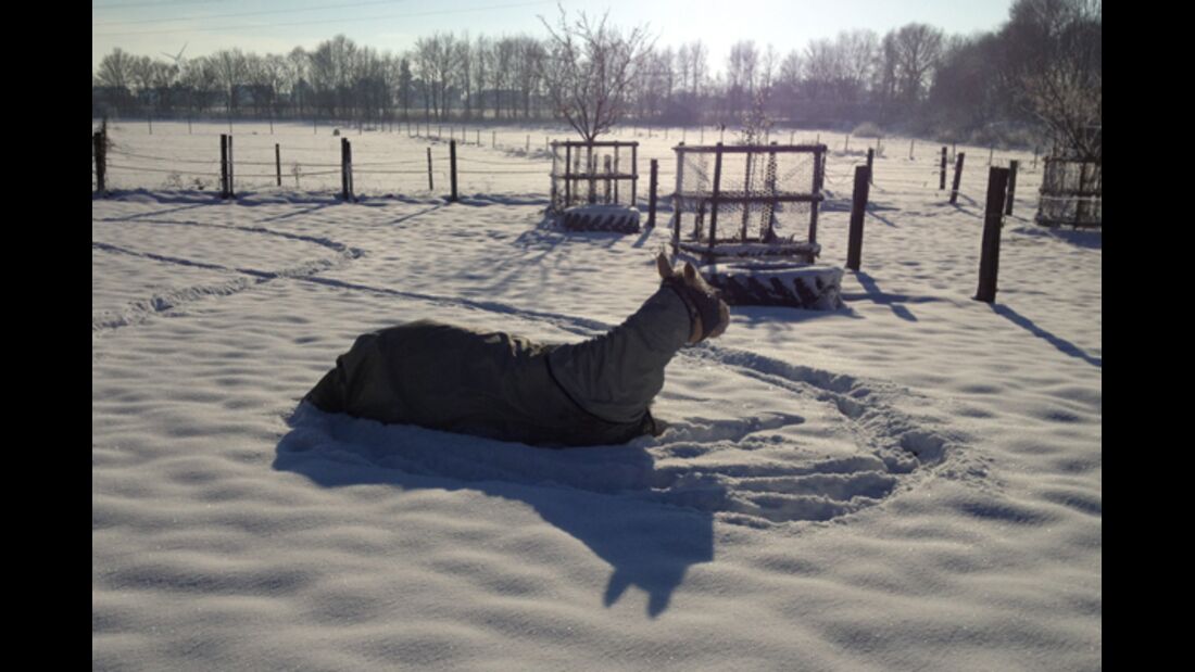 CAV Pferde im Schnee - Slide
