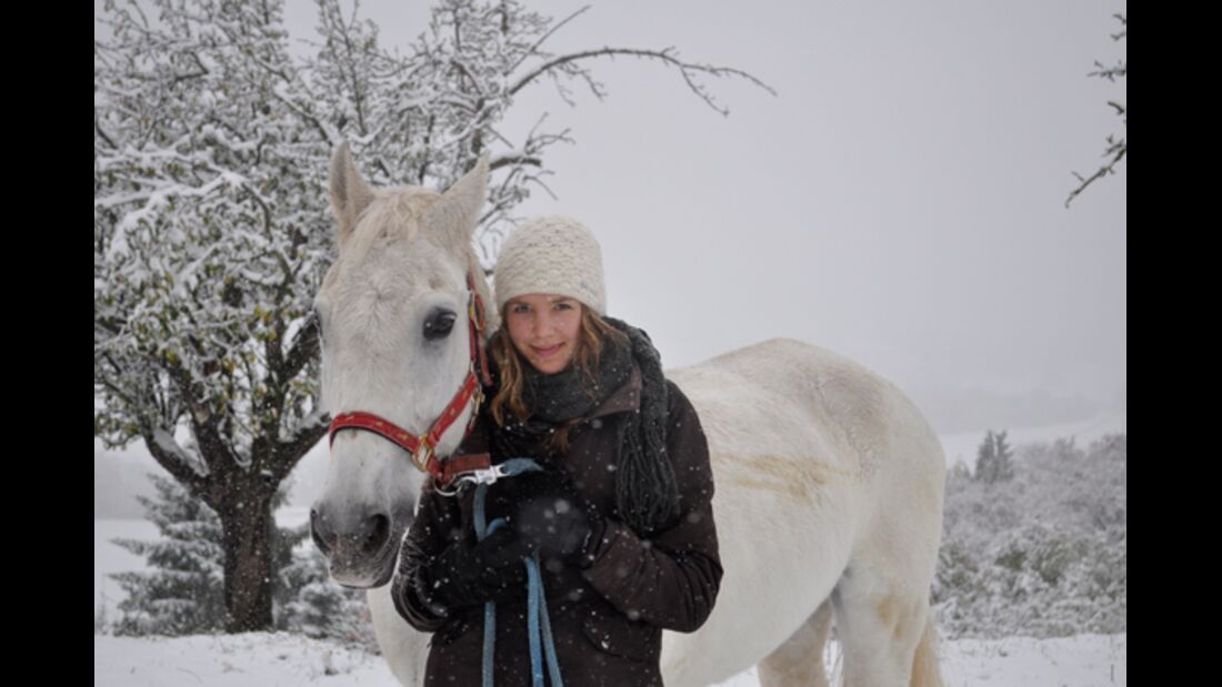 CAV Pferde im Schnee Winter 2012-10-30 2