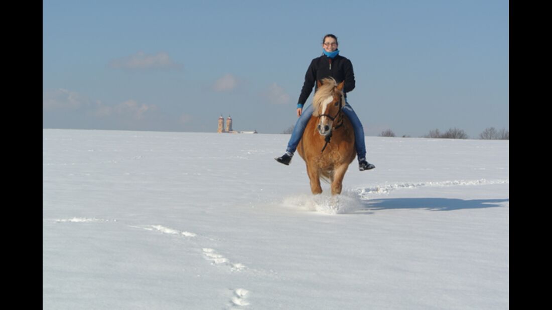 CAV Pferde im Schnee Winter 8