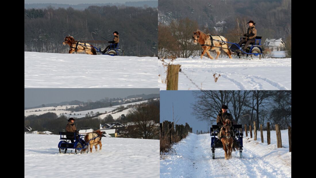 CAV Pferde im Schnee Winter - Marlon Schneeausfahrt