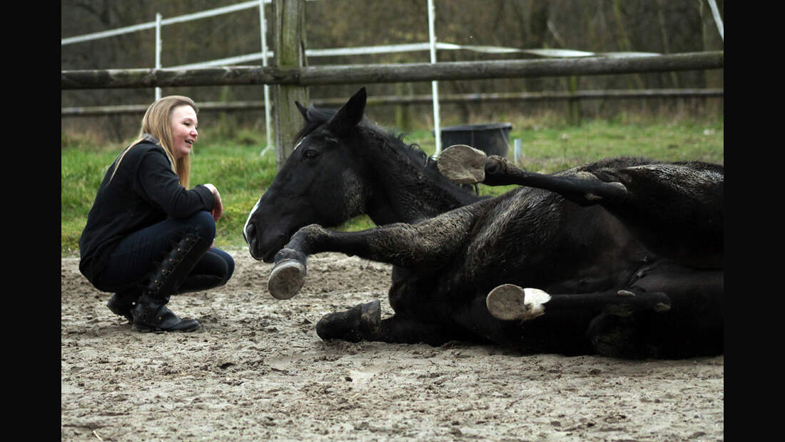 CAV Pferde wälzen Leserfotos Cerstin Meding