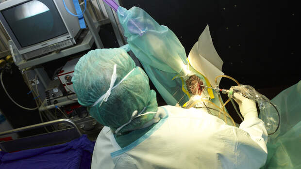 CAV Pferdeklinik Klinik Op Boening Kehlkopf
