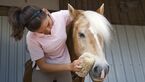 CAV Pferdepflege Pflege Putzen