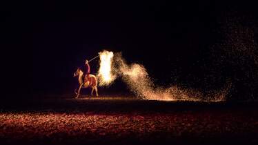 CAV Pferdeshow Horses Heros Hero Merkel Feuer