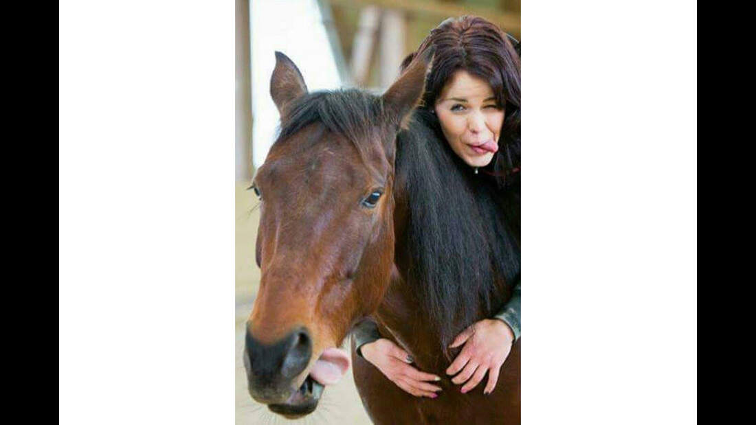 CAV Pferdezungen Linda Krämer