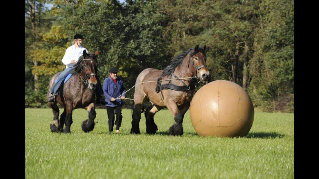 CAV Pushball Helene de Fremery
