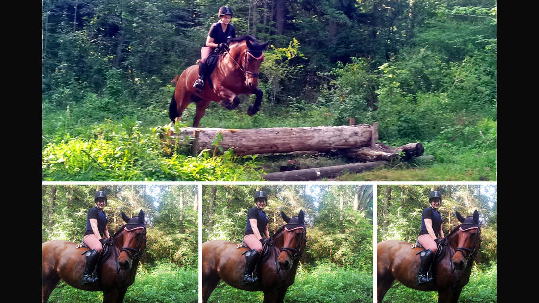 CAV Rassen die Leser reiten Leserfotos Chrissi Häublein