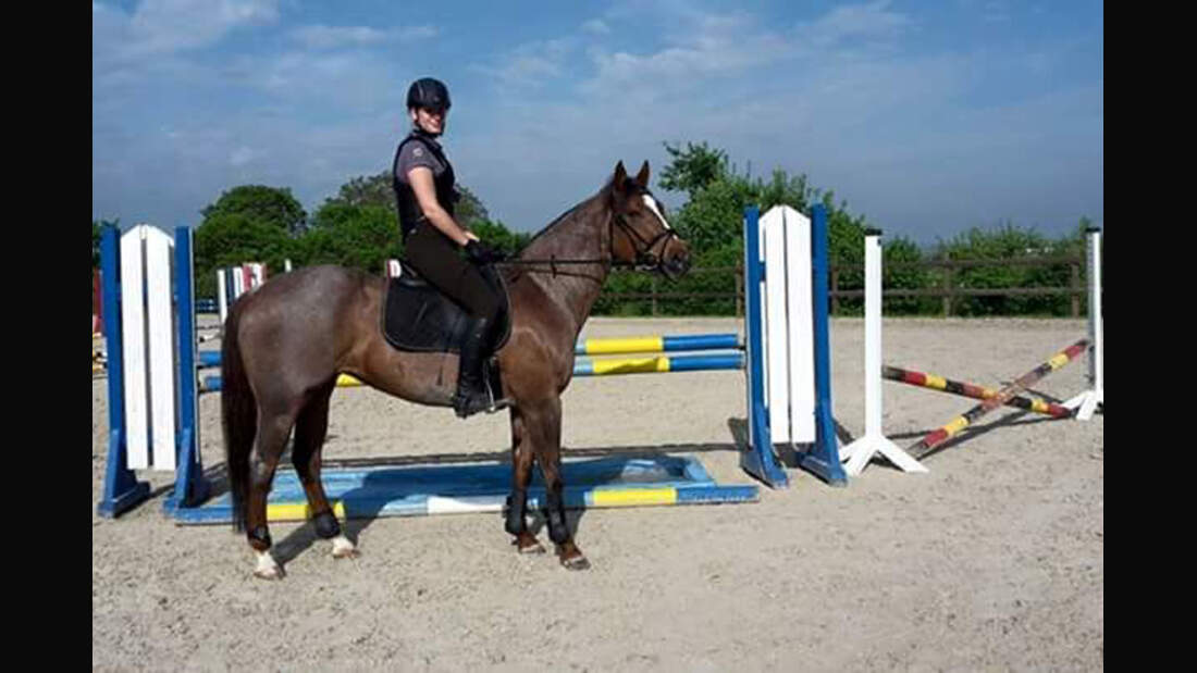 CAV Rassen die Leser reiten Leserfotos Michelle Schmidt