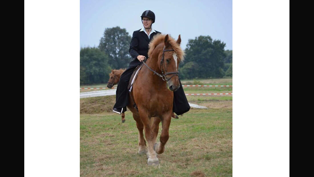 CAV Rassen die Leser reiten Leserfotos Saskia Biedermann