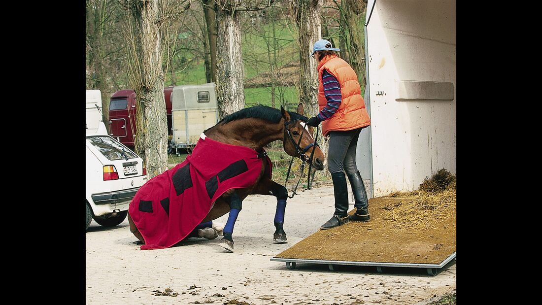 CAV Rechtserie 091008 Pferd Unfall Lebendversicherung