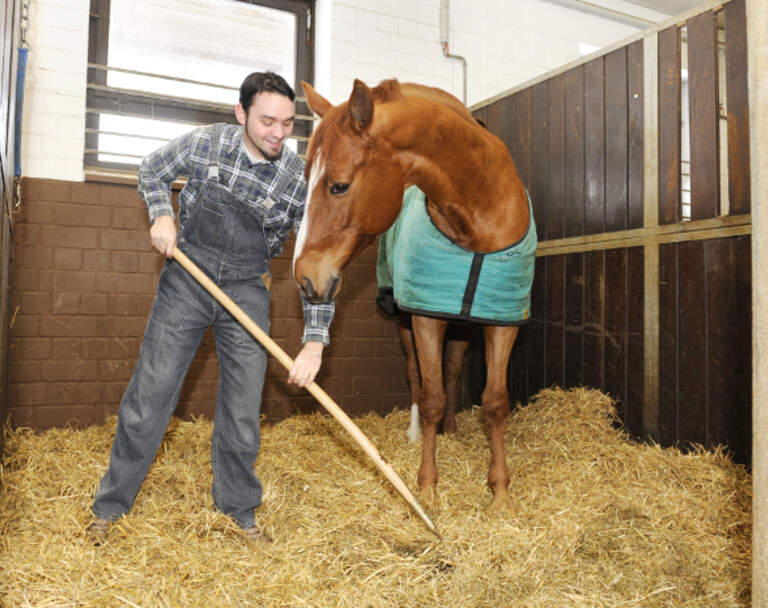 Pferde Immobilien Profi Tipps Zum Hofkauf Cavallo De
