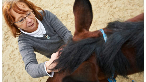 CAV Reiki Christa Mahlmeister 7