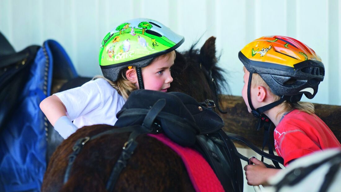 CAV Reiten Kinder Ponyreiten Studie