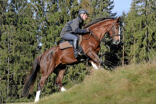 CAV Reiten im Winter Pferde Ausbildung Andreas Frey 1