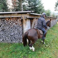 CAV Reiten im Winter Pferde Ausbildung Andreas Frey 4
