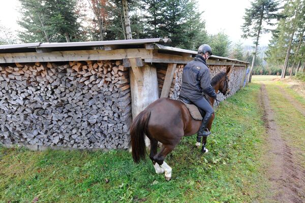 CAV Reiten im Winter Pferde Ausbildung Andreas Frey 4