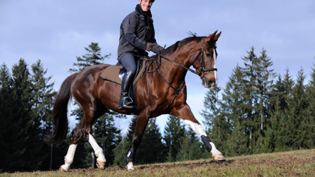 CAV Reiten im Winter Pferde Ausbildung Andreas Frey 5