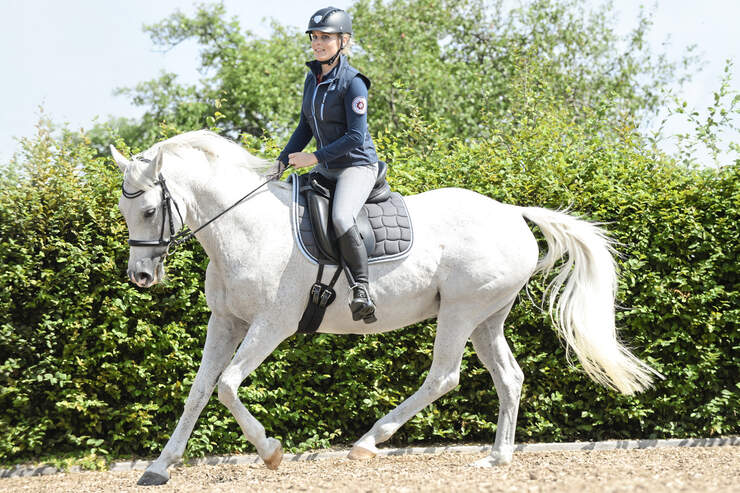 Cavallo kleinanzeigen er sucht sie