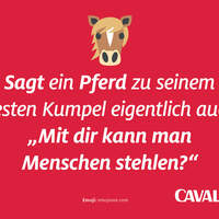 CAV Reiterphilosophie Pferdestehlen