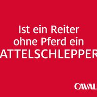 CAV Reiterphilosophie Sattelschlepper