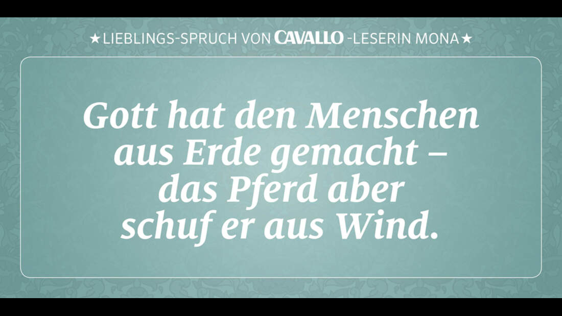 CAV Reitersprüche 11