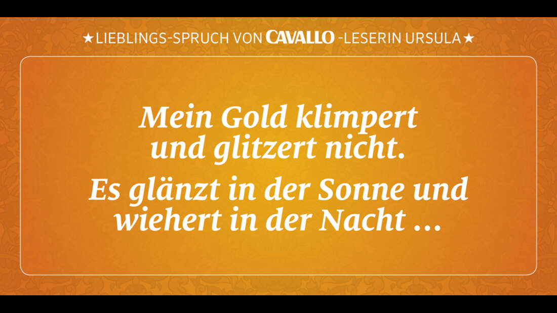 CAV Reitersprüche 14