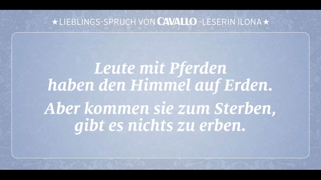 CAV Reitersprüche 16