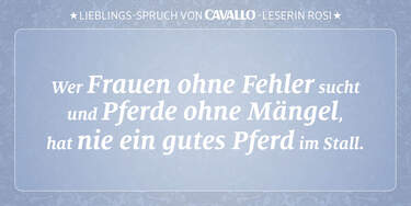 Download Reiter sprueche Free