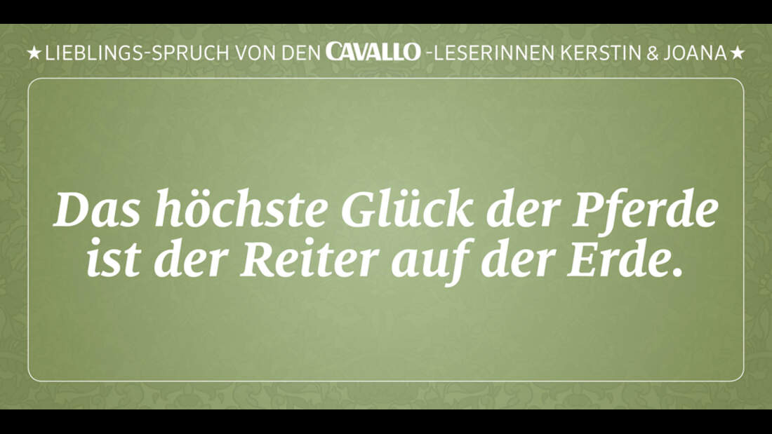 CAV Reitersprüche 6