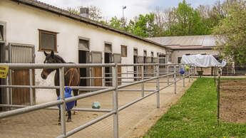 CAV Reitschul-Test in Coburg: Reitgemeinschaft Coburg-Rödental 3