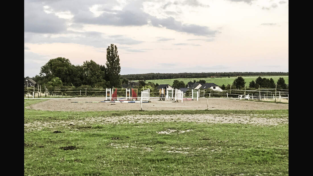 CAV Reitschultest Aachen Sonnenschein 1
