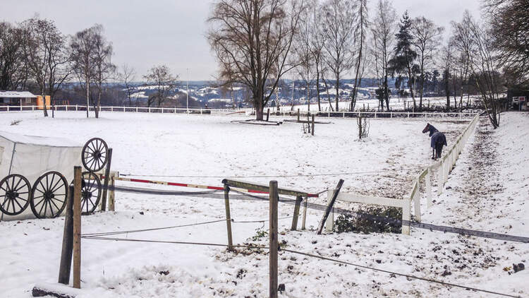 CAV Reitschultest Aschaffenburg RV Aschaffenburg 1