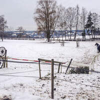 CAV Reitschultest Aschaffenburg RV Aschaffenburg 1