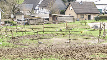 CAV Reitschultest Bergisches Land 12 Oaks Ranch 3