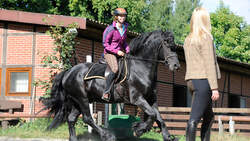 CAV Reitsimulator Reiter-Sitz 3