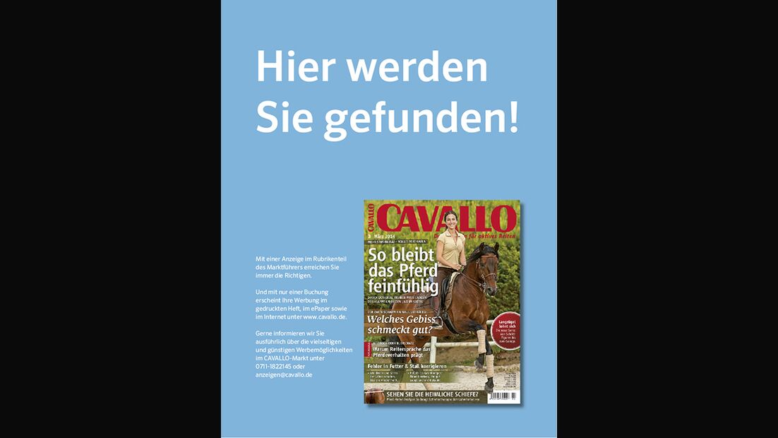 CAV Relaunch April Heft 2014