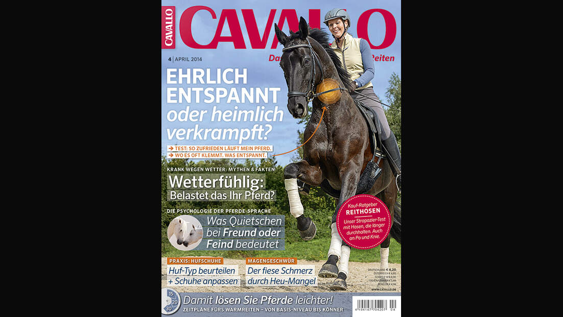 CAV Relaunch April Heft 2014