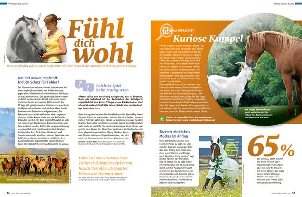 CAV Relaunch Heft April 2012