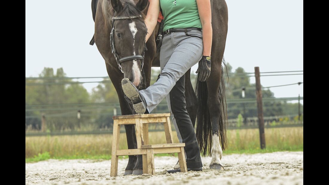 CAV Rückenschmerzen: 10 Übungen für Reiter